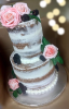 naked wedding cake 64x100