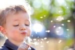 Child Blowing Dandelion 151x100